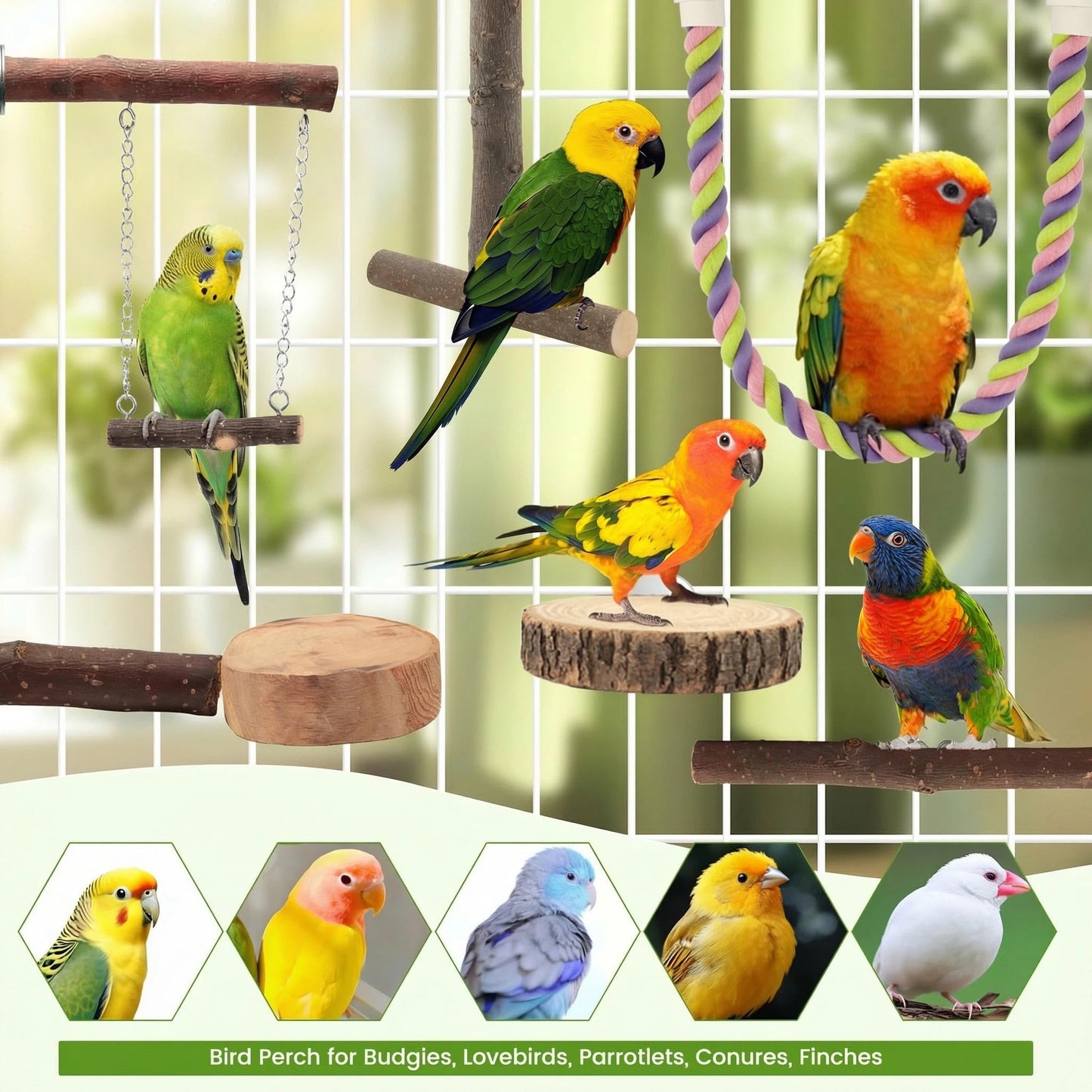 8 PCS Bird Perch Set for Cage - Natural Apple Wood Platforms & Hardwood Branches for Parakeets, Budgies, Cockatiels - Small Bird Habitat Gym, Climbing Stand & Safe Chew Toys