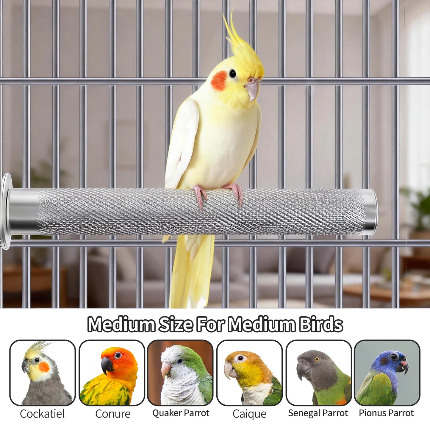 AOTU Large Bird Perch Stainless Steel Parrot Perches Bird Stand for Cage Durable Beak & Claw Trimming Grinding Perch for Birds Parrot Cage Accessory (L: 11.8" x 1.2")