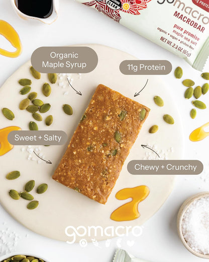 GoMacro MacroBar Organic Vegan Protein Bars - Coconut + Almond Butter + Chocolate Chips (2.3 Ounce Bars, 12 Count)