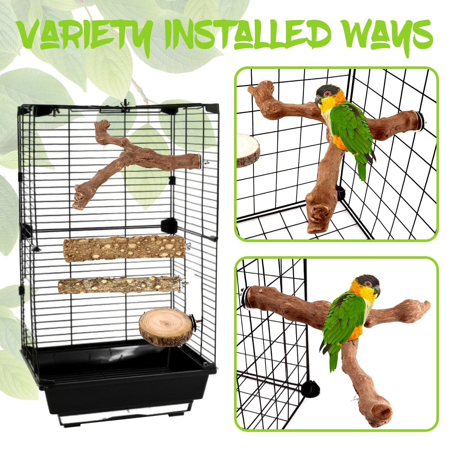 8 PCS Bird Perch Set for Cage - Natural Apple Wood Platforms & Hardwood Branches for Parakeets, Budgies, Cockatiels - Small Bird Habitat Gym, Climbing Stand & Safe Chew Toys
