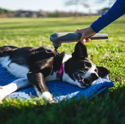 PAW WAVE PERK Percussion Pet Massager for Dogs and Cats Designed to Help Massage Muscle Tightness, Improve Mobility and Recovery