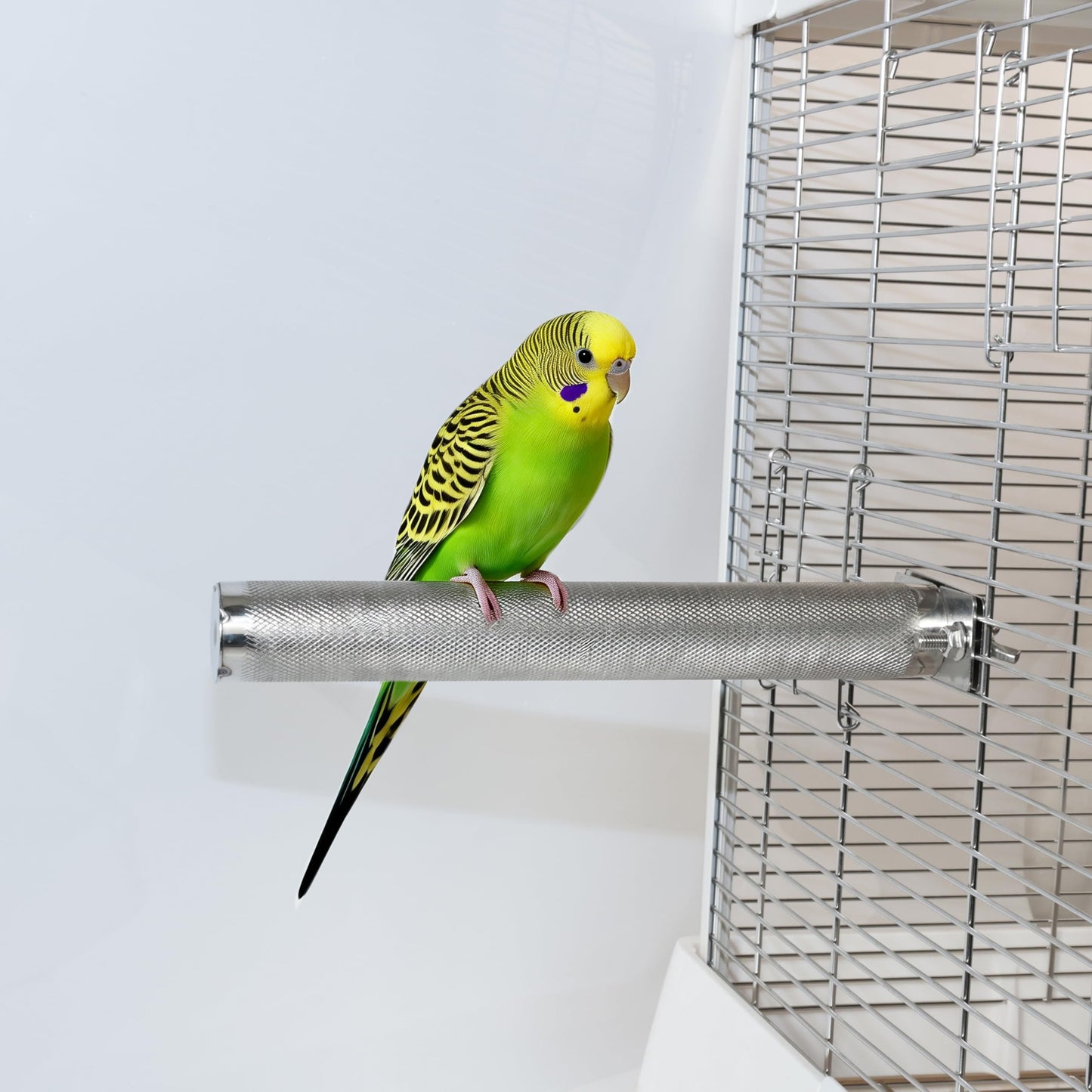 AOTU Large Bird Perch Stainless Steel Parrot Perches Bird Stand for Cage Durable Beak & Claw Trimming Grinding Perch for Birds Parrot Cage Accessory (L: 11.8" x 1.2")