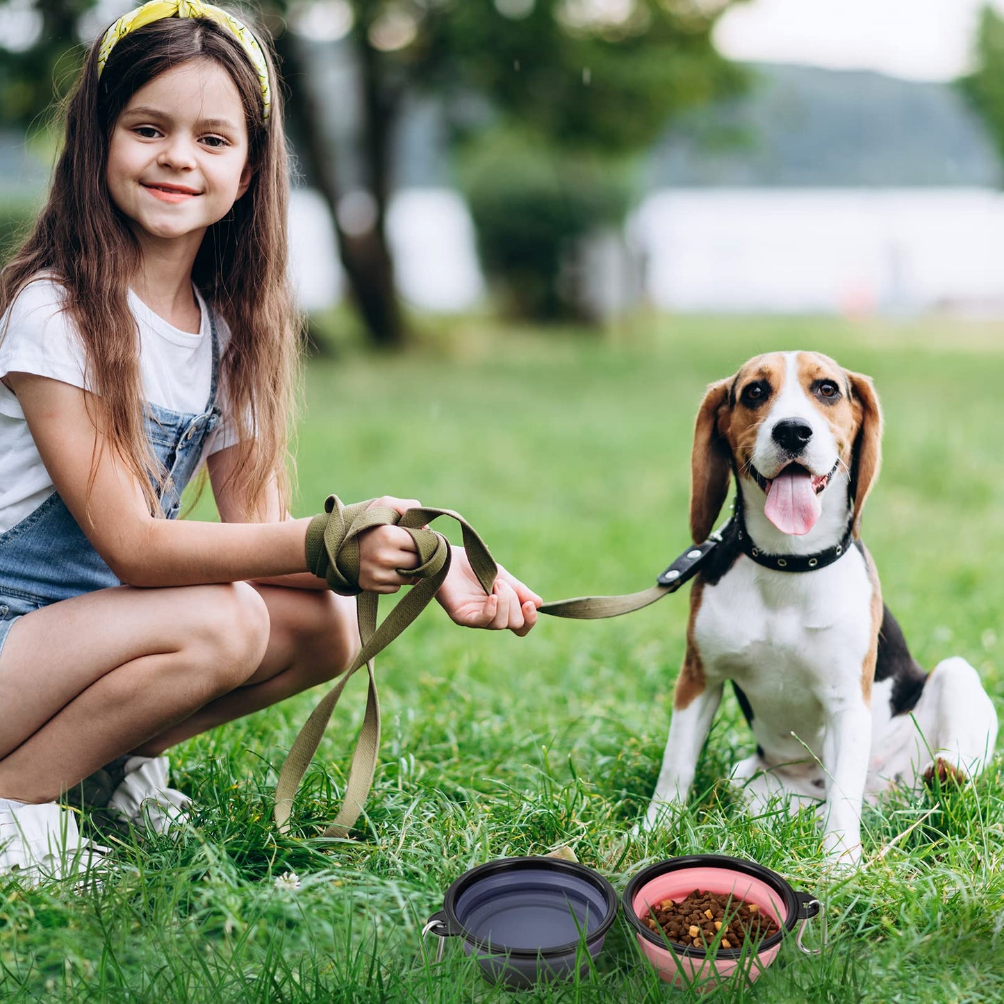 Dog Bowl Pet Collapsible Bowls, 2 Pack for Cats Dogs, Portable Pet Feeding Watering Dish for Walking Parking Traveling with 2 Carabiners (Small, Blue+Green)