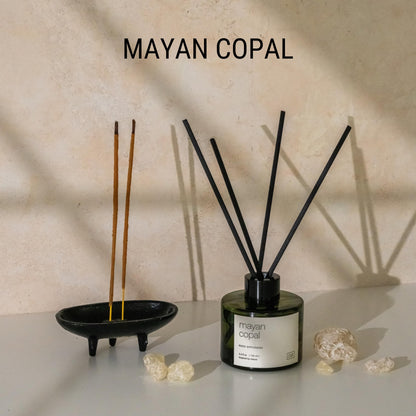 Craft & Kin Reed Diffuser with Dried Flowers | 5 oz Stone Fruit & Sage Scented Holiday Reed Diffusers for Home, Bathroom | Scent Sticks | Elegant Fragrance Home Decor for Men & Women