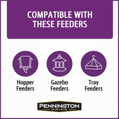 Pennington Pride Songbird Nut & Fruit Blend, Wild Bird Seed for Outside Feeders, Advanced Nutrition Formula for Health, Bird Food, 10-lb. Bag