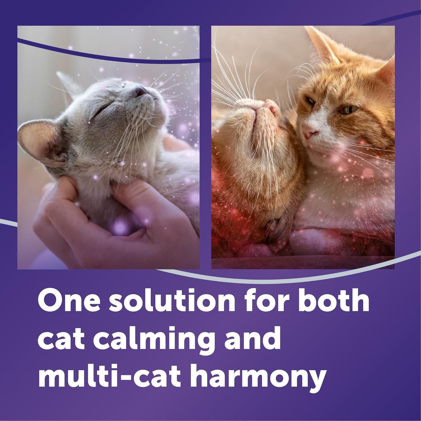 FELIWAY Optimum Cat Calming Pheromone Diffuser Kit | Advanced Support to Help Reduce Urine Spraying, Scratching, Fighting & Hiding Due to Stress. 30-Day Diffuser Supply