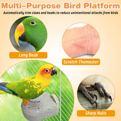 PINVNBY 4 PCS Bird Perch Stands Parrot Calcium Perch Beak Grinding Stone Foot Claws Trimmer Parakeet Platform Parrot Chewing Toys for Small Medium Cockatiel Conure Lovebird Finch
