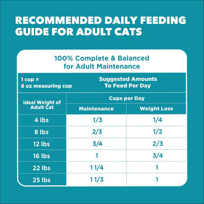 IAMS Proactive Health Indoor Dry Cat Food, Chicken & Turkey, 7 lb | Vet-recommended, Real Chicken #1 Ingredient, Proprietary Fiber Blend, Prebiotics for Healthy Digestion, Hairball Control