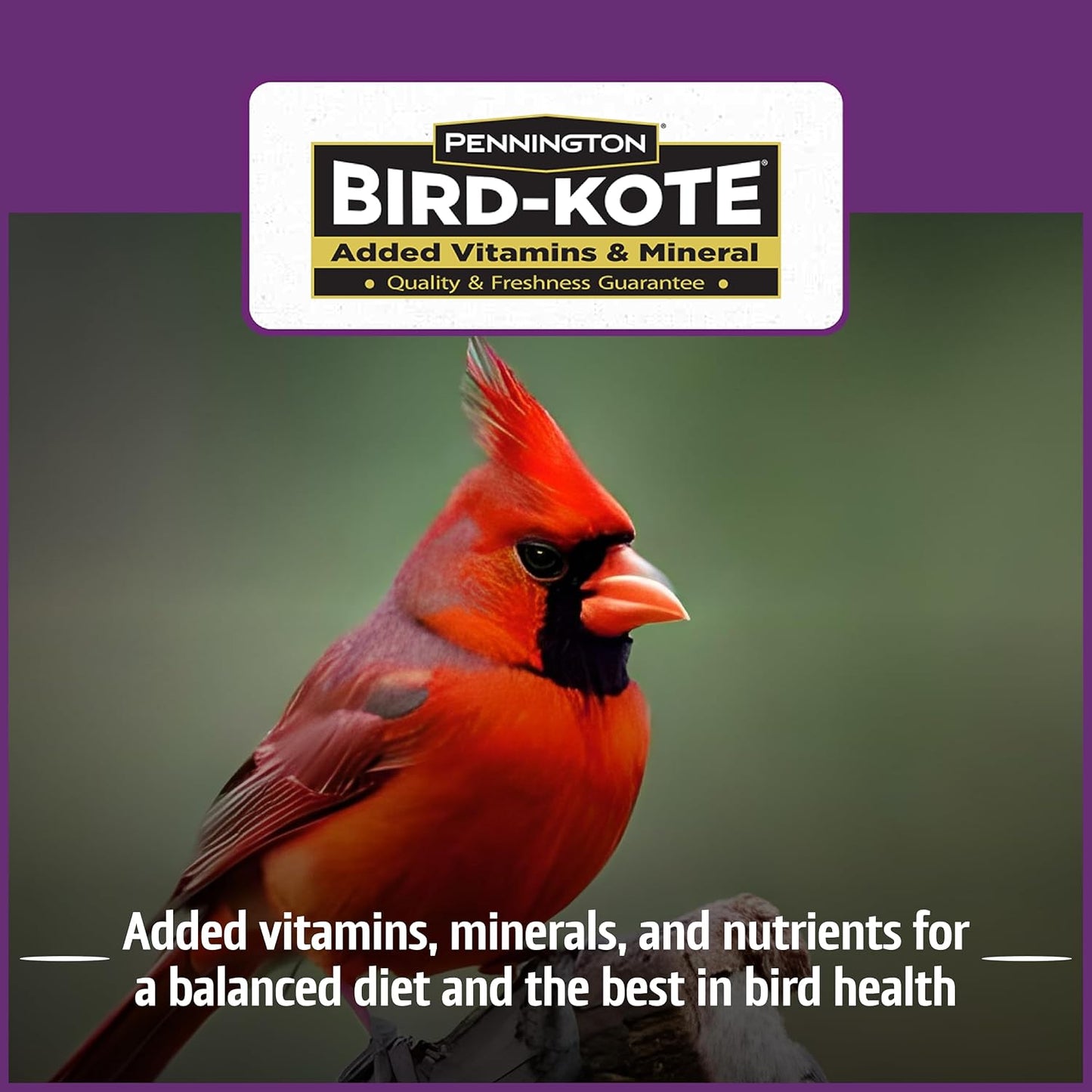 Pennington Pride Songbird Nut & Fruit Blend, Wild Bird Seed for Outside Feeders, Advanced Nutrition Formula for Health, Bird Food, 10-lb. Bag