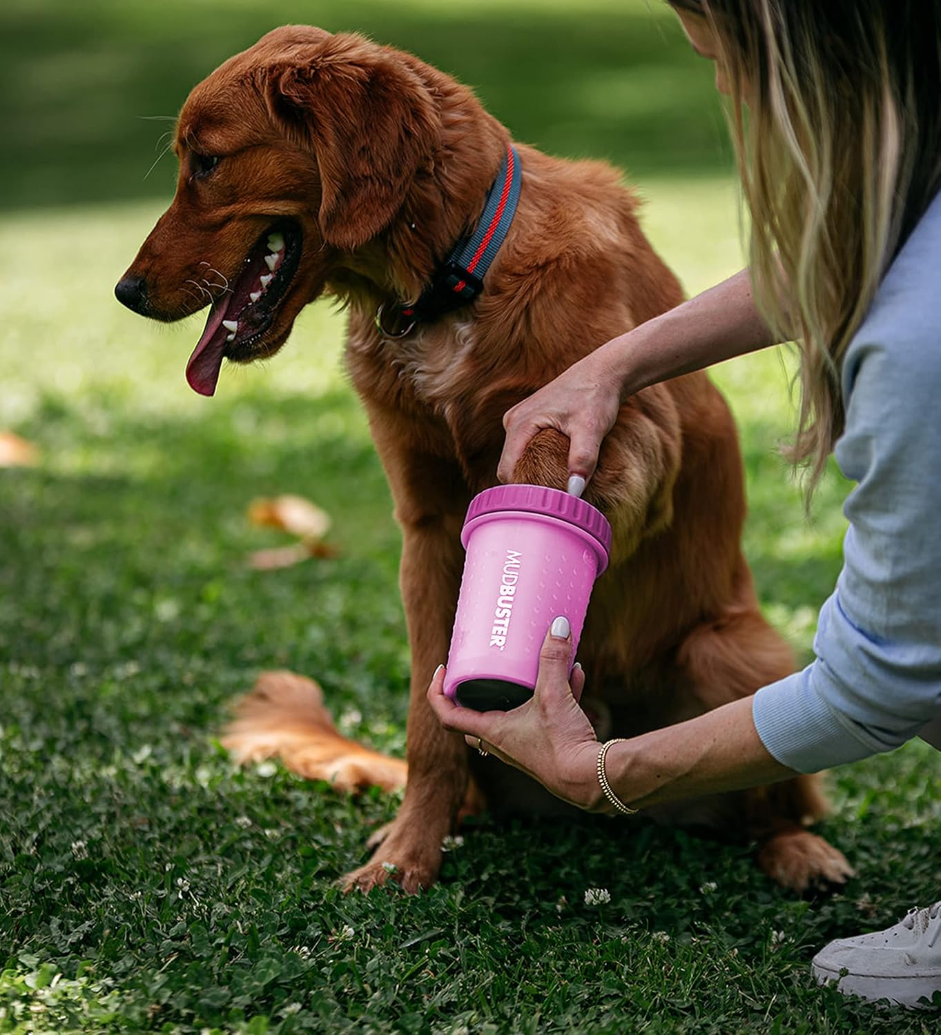 Dexas MudBuster Portable Dog Paw Cleaner - Premium Quality, Blue, Small Size for Pet Supplies and Accessories