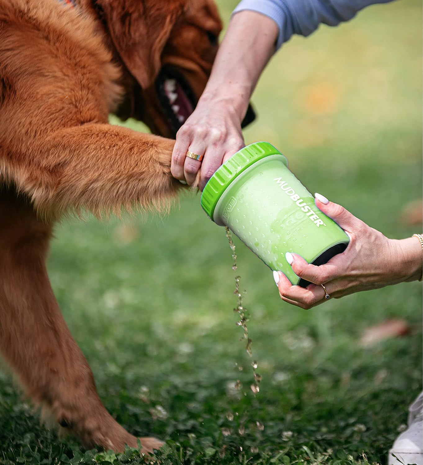 Dexas MudBuster Portable Dog Paw Cleaner - Premium Quality, Blue, Small Size for Pet Supplies and Accessories