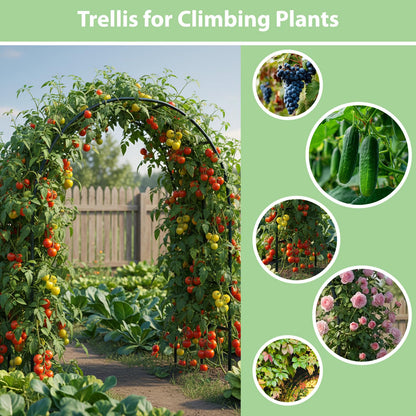 RUBFAC 7.8ft Garden Arch Trellis for Climbing Plants Outdoor, Metal Arch Frame Garden Arbors and Arches, Outdoor Archway for Flower Vines Wedding Bridal Party Decoration, Black
