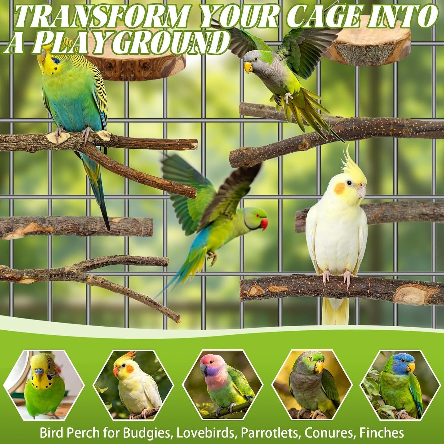 8 PCS Bird Perch Set for Cage - Natural Apple Wood Platforms & Hardwood Branches for Parakeets, Budgies, Cockatiels - Small Bird Habitat Gym, Climbing Stand & Safe Chew Toys