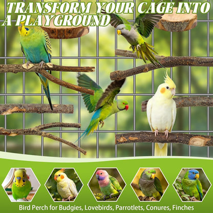 8 PCS Bird Perch Set for Cage - Natural Apple Wood Platforms & Hardwood Branches for Parakeets, Budgies, Cockatiels - Small Bird Habitat Gym, Climbing Stand & Safe Chew Toys