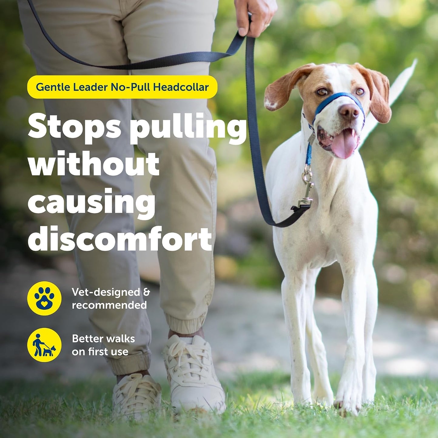 PetSafe Gentle Leader No Pull Dog Headcollar, Black, Medium | Veterinary Behaviorist-Designed No-Pull Headcollar Redirects Pulling Instinct, Padded Neoprene Nose Loop, Quick-Snap Fit