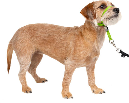 PetSafe Gentle Leader No Pull Dog Headcollar, Black, Medium | Veterinary Behaviorist-Designed No-Pull Headcollar Redirects Pulling Instinct, Padded Neoprene Nose Loop, Quick-Snap Fit