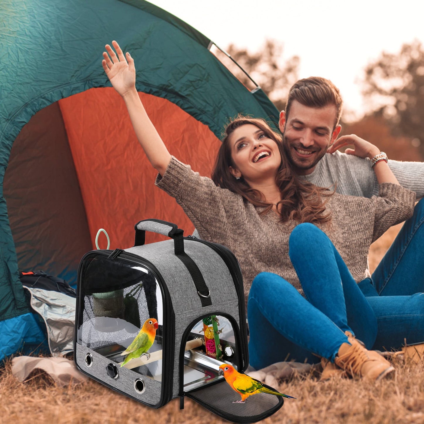 Bird Carrier Bag with Stand, Lightweight Backpack for Parrot, Portable Cockatiel Travel Cage with Accessories, Pet Transparent Breathable Carrier, Gray