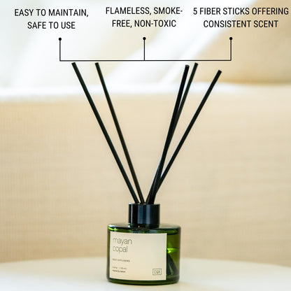 Craft & Kin Reed Diffuser with Dried Flowers | 5 oz Stone Fruit & Sage Scented Holiday Reed Diffusers for Home, Bathroom | Scent Sticks | Elegant Fragrance Home Decor for Men & Women
