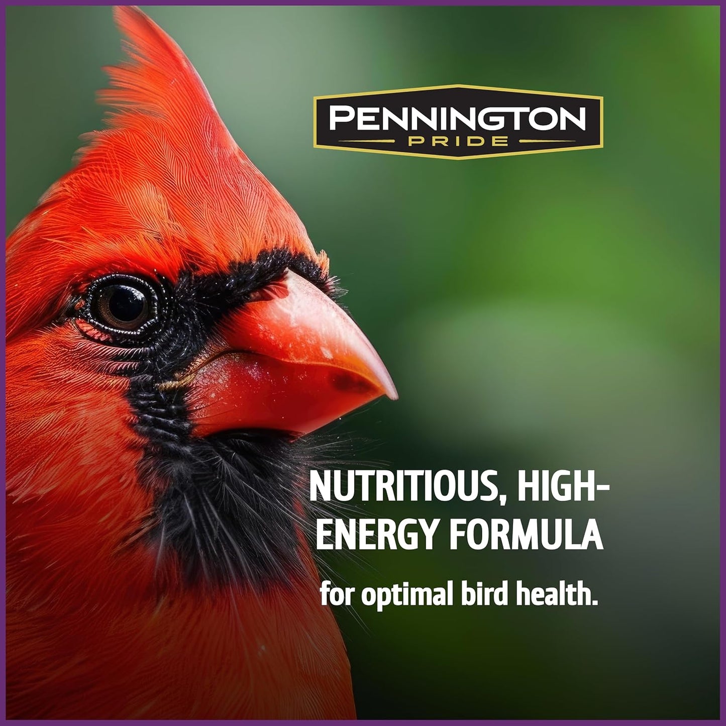 Pennington Pride Songbird Nut & Fruit Blend, Wild Bird Seed for Outside Feeders, Advanced Nutrition Formula for Health, Bird Food, 10-lb. Bag