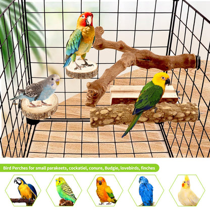 8 PCS Bird Perch Set for Cage - Natural Apple Wood Platforms & Hardwood Branches for Parakeets, Budgies, Cockatiels - Small Bird Habitat Gym, Climbing Stand & Safe Chew Toys