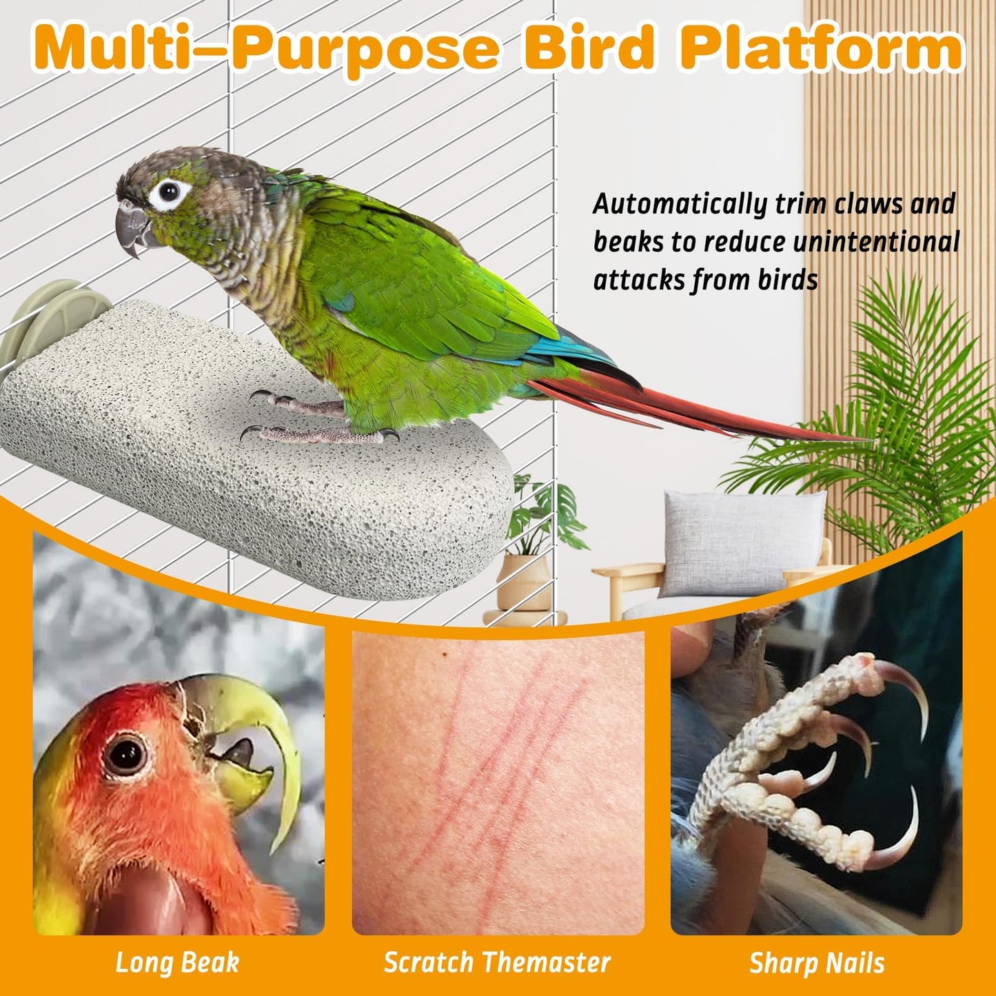 PINVNBY 4 PCS Bird Perch Stands Parrot Calcium Perch Beak Grinding Stone Foot Claws Trimmer Parakeet Platform Parrot Chewing Toys for Small Medium Cockatiel Conure Lovebird Finch