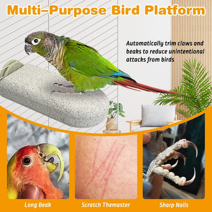 PINVNBY 4 PCS Bird Perch Stands Parrot Calcium Perch Beak Grinding Stone Foot Claws Trimmer Parakeet Platform Parrot Chewing Toys for Small Medium Cockatiel Conure Lovebird Finch