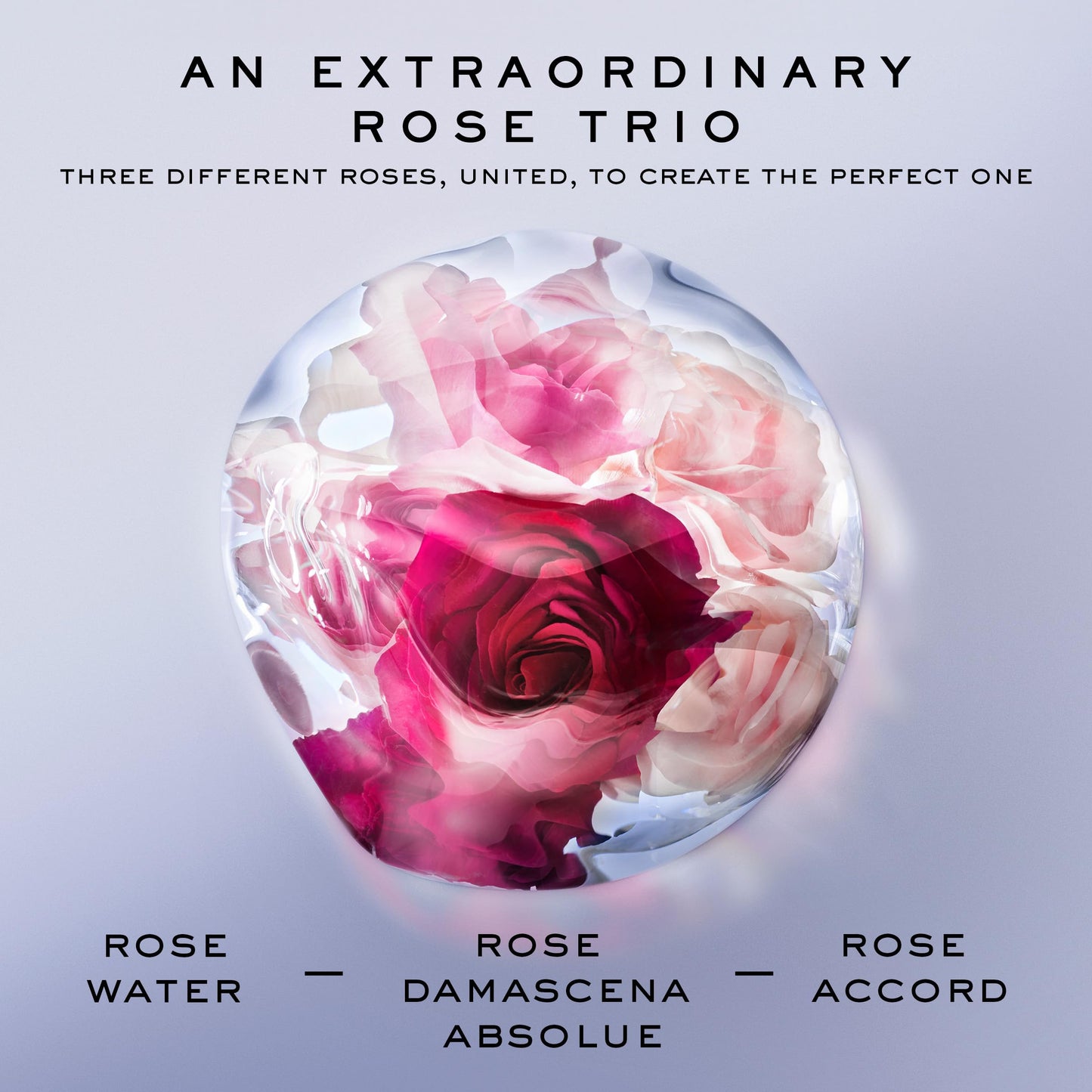 Lancôme La Vie Est Belle Rose Extraordinaire Eau de Parfum - Womens Perfume | Amazon Exclusive - Warm & Floral Perfume for Women - With Notes of Rose, Iris & Woody Musk - Long Lasting Fragrance