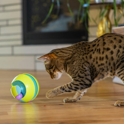 Catstages Tower of Tracks Cat Toy – 3-Level Track Tower with 6 Balls, Interactive Cat Toy for Indoor Enrichment