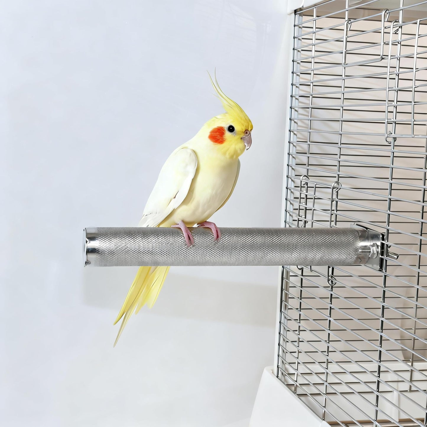 AOTU Large Bird Perch Stainless Steel Parrot Perches Bird Stand for Cage Durable Beak & Claw Trimming Grinding Perch for Birds Parrot Cage Accessory (L: 11.8" x 1.2")