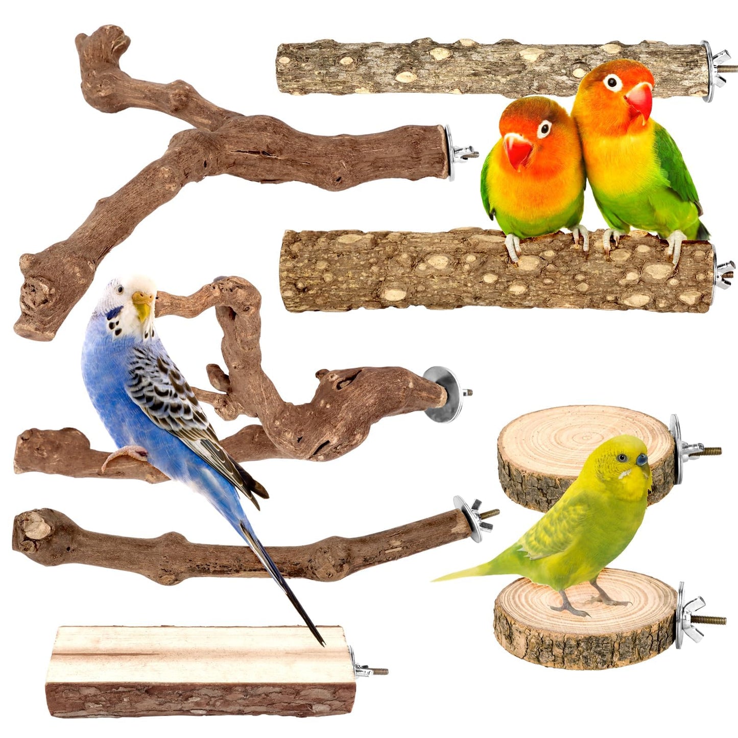 8 PCS Bird Perch Set for Cage - Natural Apple Wood Platforms & Hardwood Branches for Parakeets, Budgies, Cockatiels - Small Bird Habitat Gym, Climbing Stand & Safe Chew Toys