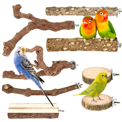 8 PCS Bird Perch Set for Cage - Natural Apple Wood Platforms & Hardwood Branches for Parakeets, Budgies, Cockatiels - Small Bird Habitat Gym, Climbing Stand & Safe Chew Toys