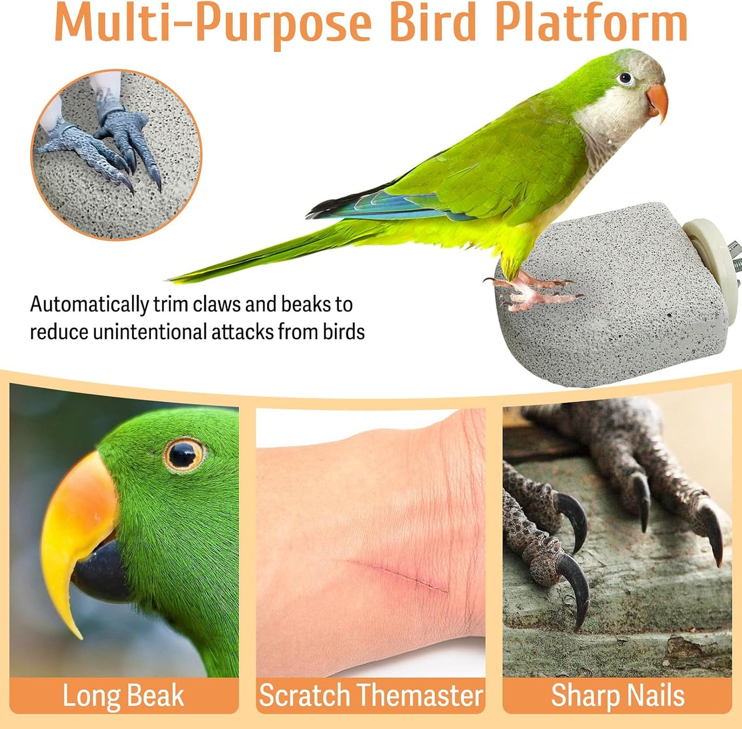 PINVNBY 4 PCS Bird Perch Stands Parrot Calcium Perch Beak Grinding Stone Foot Claws Trimmer Parakeet Platform Parrot Chewing Toys for Small Medium Cockatiel Conure Lovebird Finch