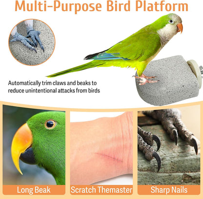 PINVNBY 4 PCS Bird Perch Stands Parrot Calcium Perch Beak Grinding Stone Foot Claws Trimmer Parakeet Platform Parrot Chewing Toys for Small Medium Cockatiel Conure Lovebird Finch