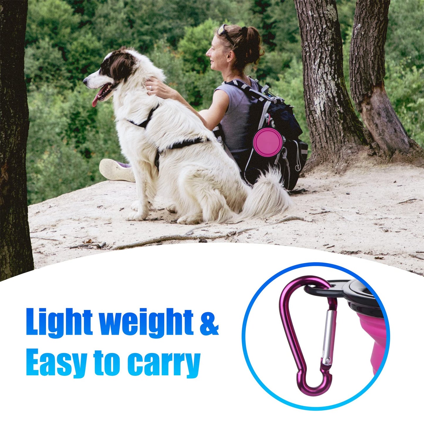 Dog Bowl Pet Collapsible Bowls, 2 Pack for Cats Dogs, Portable Pet Feeding Watering Dish for Walking Parking Traveling with 2 Carabiners (Small, Blue+Green)
