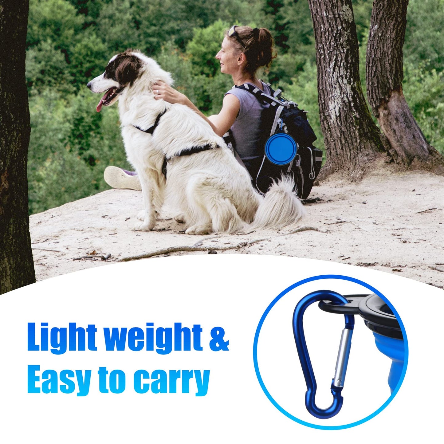 Dog Bowl Pet Collapsible Bowls, 2 Pack for Cats Dogs, Portable Pet Feeding Watering Dish for Walking Parking Traveling with 2 Carabiners (Small, Blue+Green)