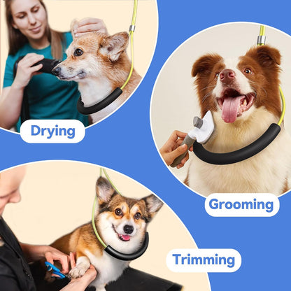 Dog Grooming Arm for Table, for Small Dogs, with Hammock & Haunch Holder | Foldable Arm with Clamp, Adjustable Height 26"-40", Pet Grooming Station for Home Nail Cutting & Trimming
