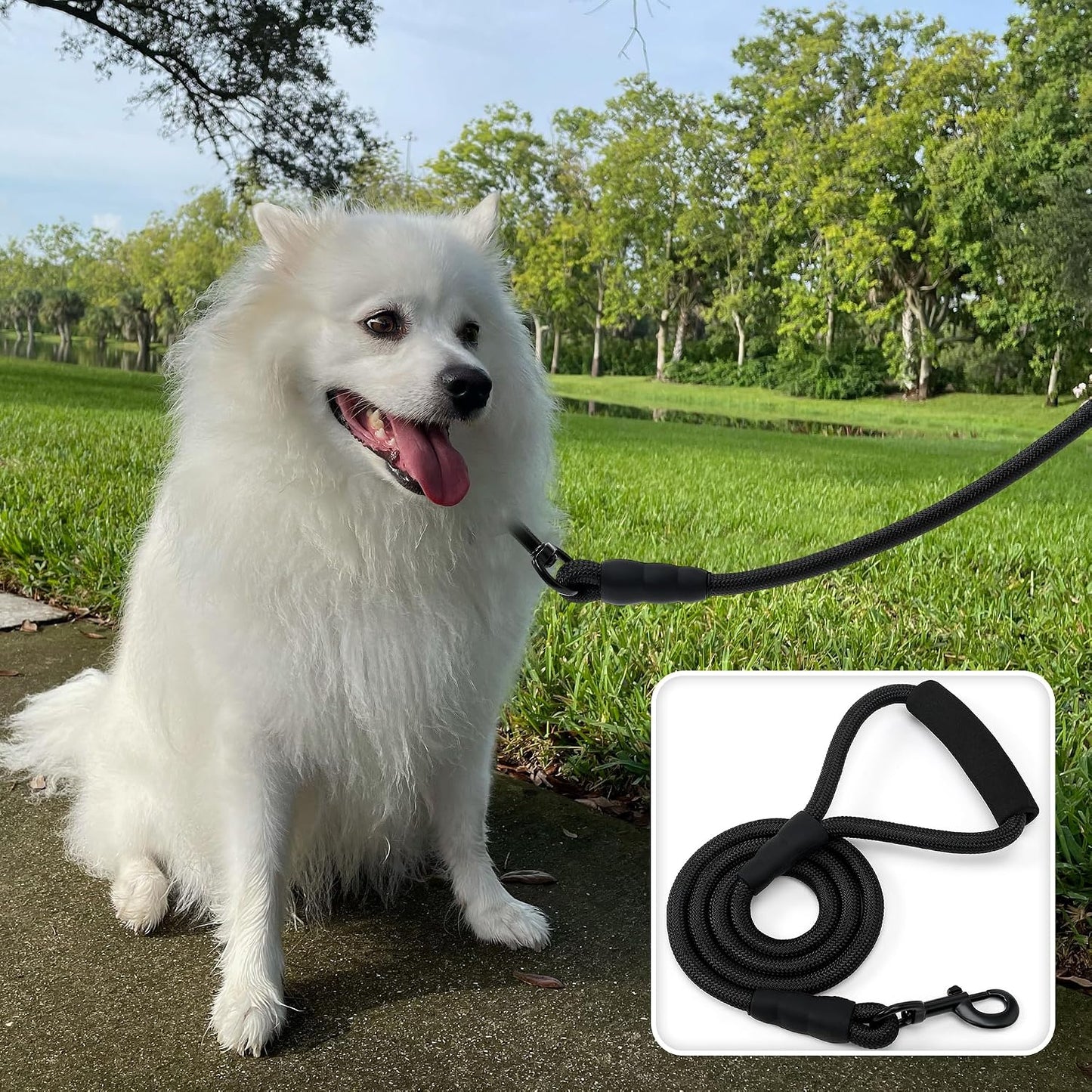 Mile High Life Dog Leash, 5FT x 1/2IN Black, with Padded Handle | Heavy-duty nylon rope leash with soft handle & steel tips. Comfortable grip for daily walks with small to large dogs.