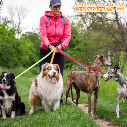 12 Pack Bulk Dog Leashes, 6FT Pet Lead Leash with Swivel Hook | Pet Leash for Outdoor Walking, Training, Rescues, Shelter, Grooming, Small Medium Large Dogs