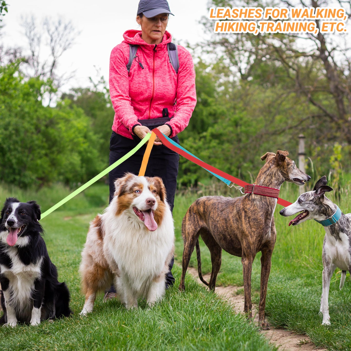 12 Pack Bulk Dog Leashes, 6FT Pet Lead Leash with Swivel Hook | Pet Leash for Outdoor Walking, Training, Rescues, Shelter, Grooming, Small Medium Large Dogs