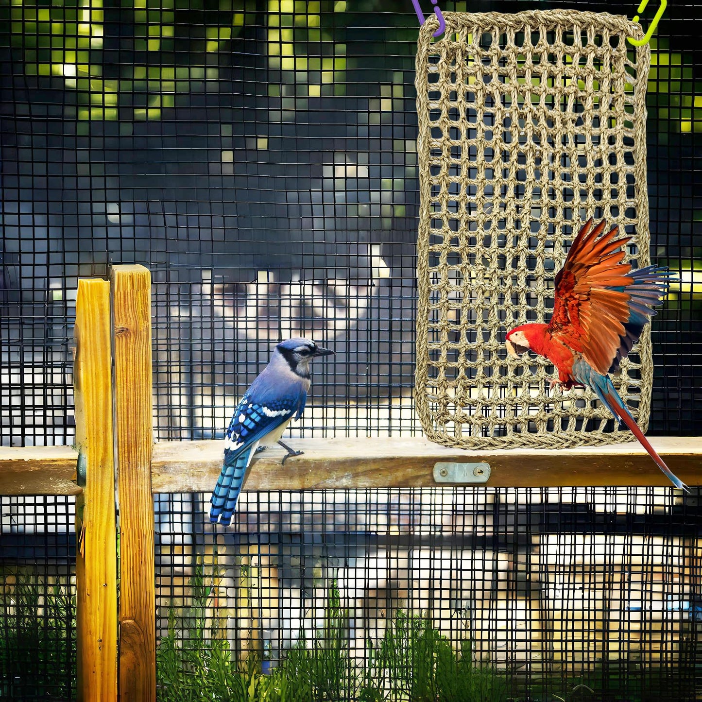 Bird Seagrass Mat 30 x 7 Inch Parrot Natural Seagrass Woven Net Hammock Parakeet Climbing Rope Ladder Mat Chew Toys Cage Accessories for Pigeon Macaw Cockatiel Conure Cockatoo Rat Bearded Dragon
