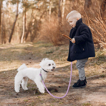 Mile High Life Dog Leash, 5FT x 1/2IN Black, with Padded Handle | Heavy-duty nylon rope leash with soft handle & steel tips. Comfortable grip for daily walks with small to large dogs.