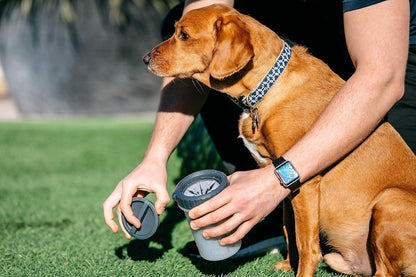 Dexas MudBuster Portable Dog Paw Cleaner - Premium Quality, Blue, Small Size for Pet Supplies and Accessories