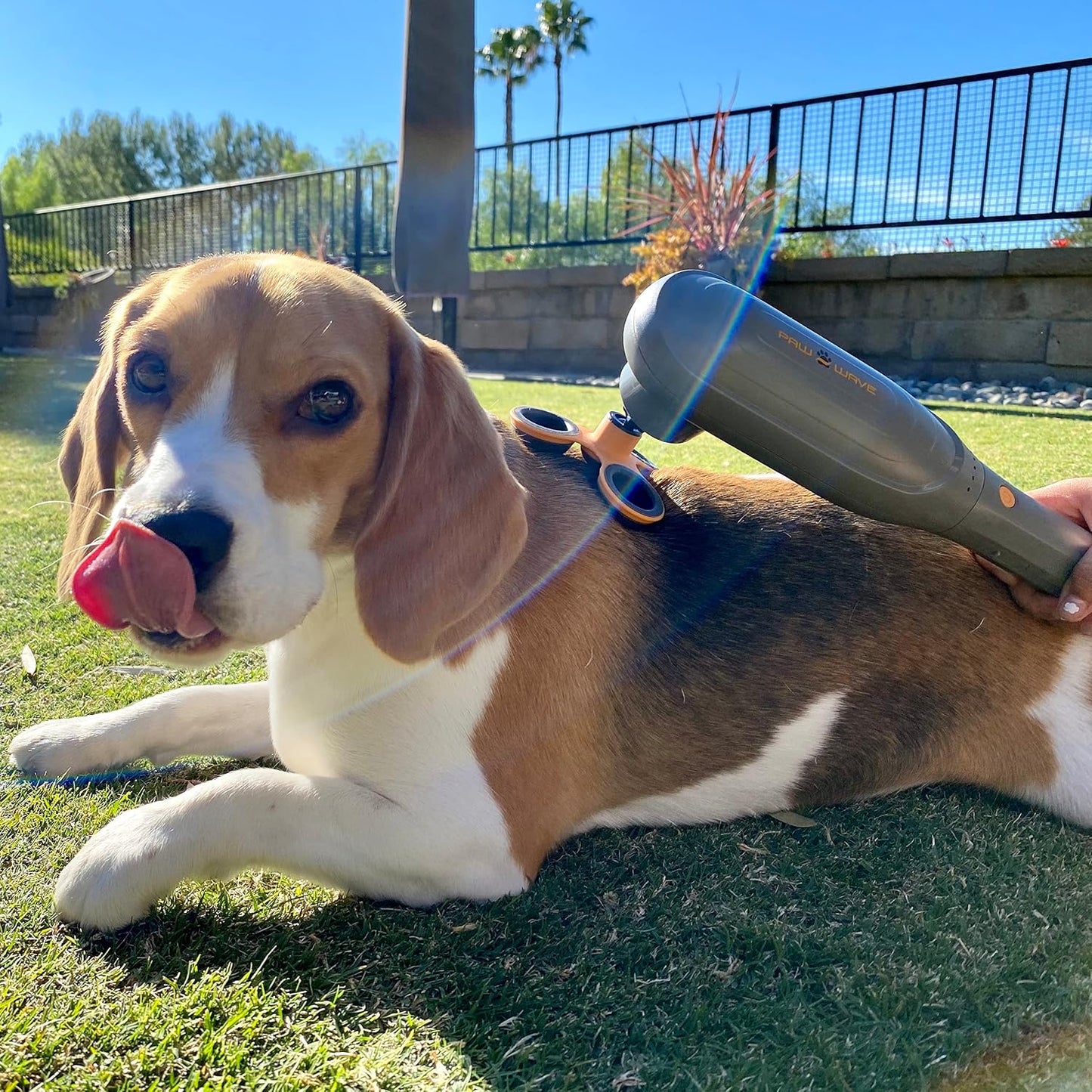 PAW WAVE PERK Percussion Pet Massager for Dogs and Cats Designed to Help Massage Muscle Tightness, Improve Mobility and Recovery