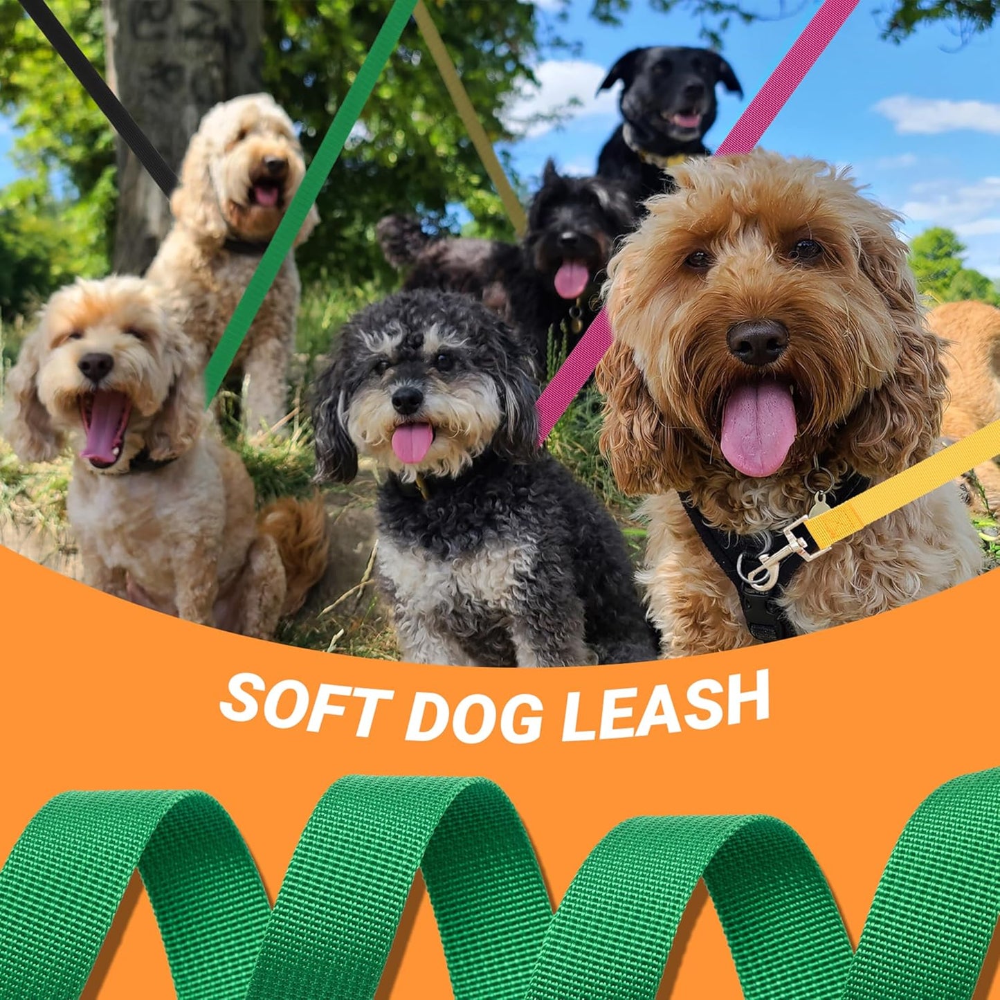 12 Pack Bulk Dog Leashes, 6FT Pet Lead Leash with Swivel Hook | Pet Leash for Outdoor Walking, Training, Rescues, Shelter, Grooming, Small Medium Large Dogs