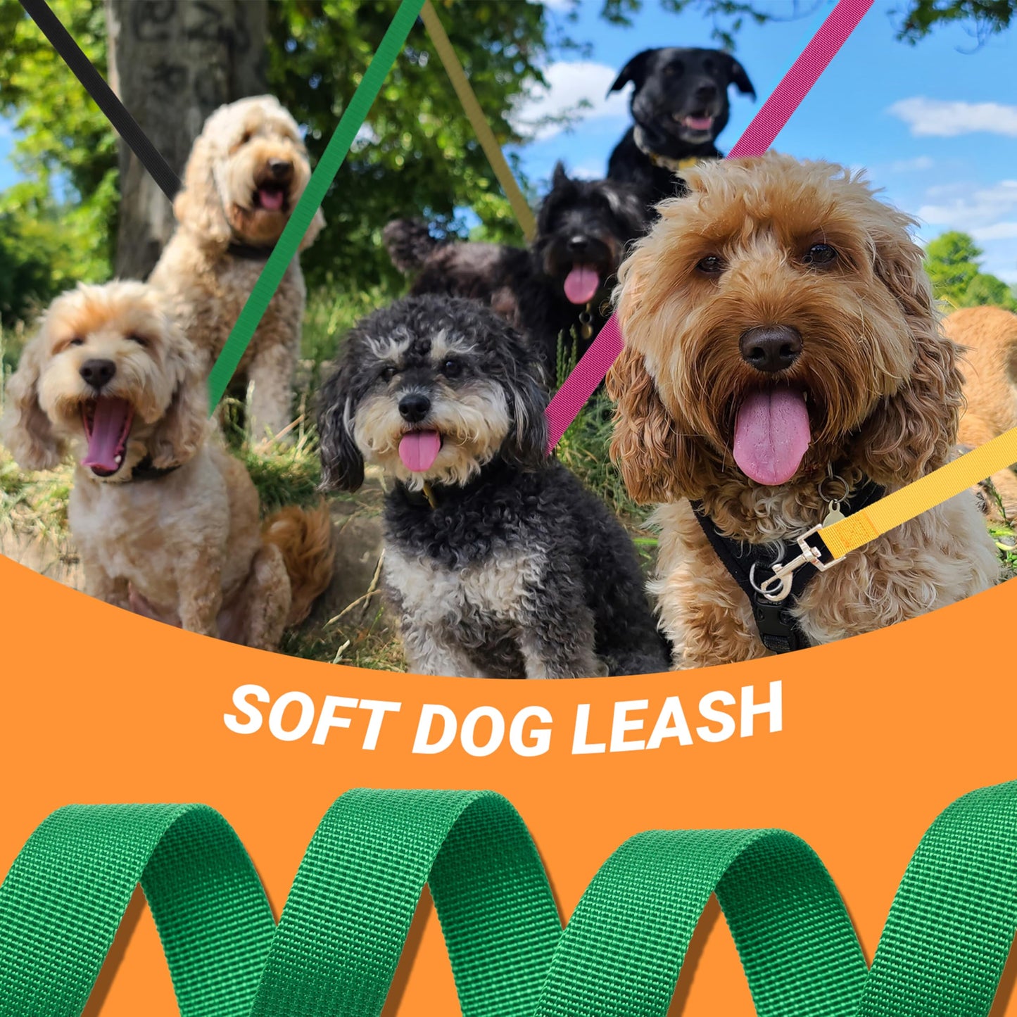 12 Pack Bulk Dog Leashes, 6FT Pet Lead Leash with Swivel Hook | Pet Leash for Outdoor Walking, Training, Rescues, Shelter, Grooming, Small Medium Large Dogs