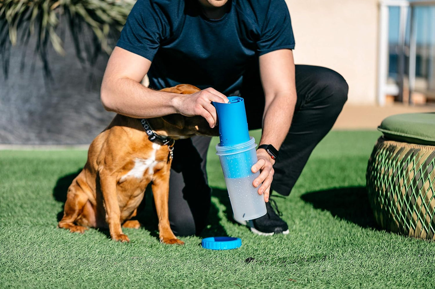 Dexas MudBuster Portable Dog Paw Cleaner - Premium Quality, Blue, Small Size for Pet Supplies and Accessories