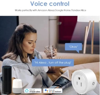 Enchufe Domótico WiFi